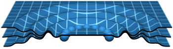 Cross section of a black hole on a branched spacetime manifold