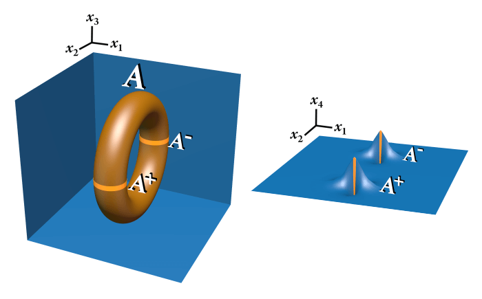 The boundary torus associated with the topological surgery of the fermion knot and two 2-dimensional fermion knots
